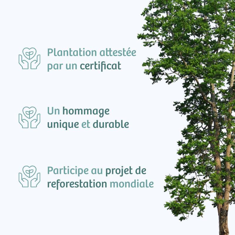 Planter un arbre en hommage à Mr. Jean-François Mérillon